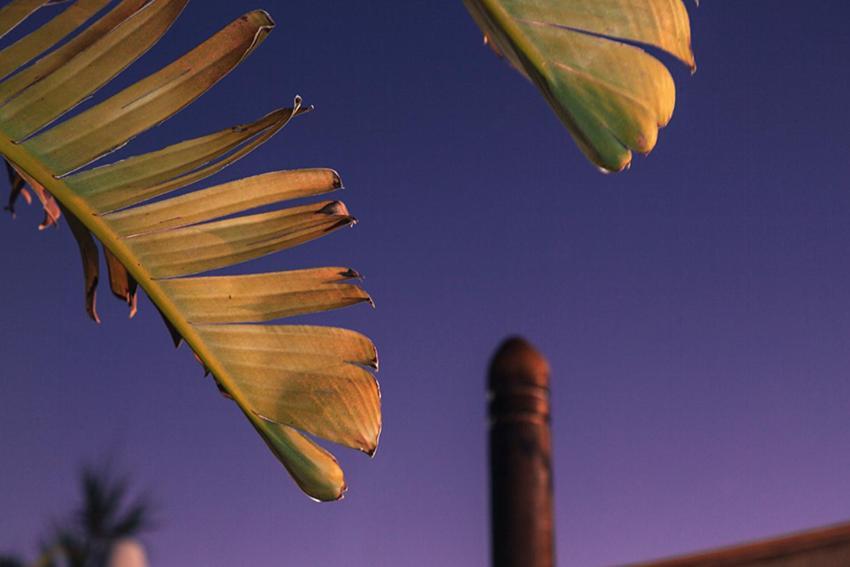 Placer De Meca Zahora Zimmer foto